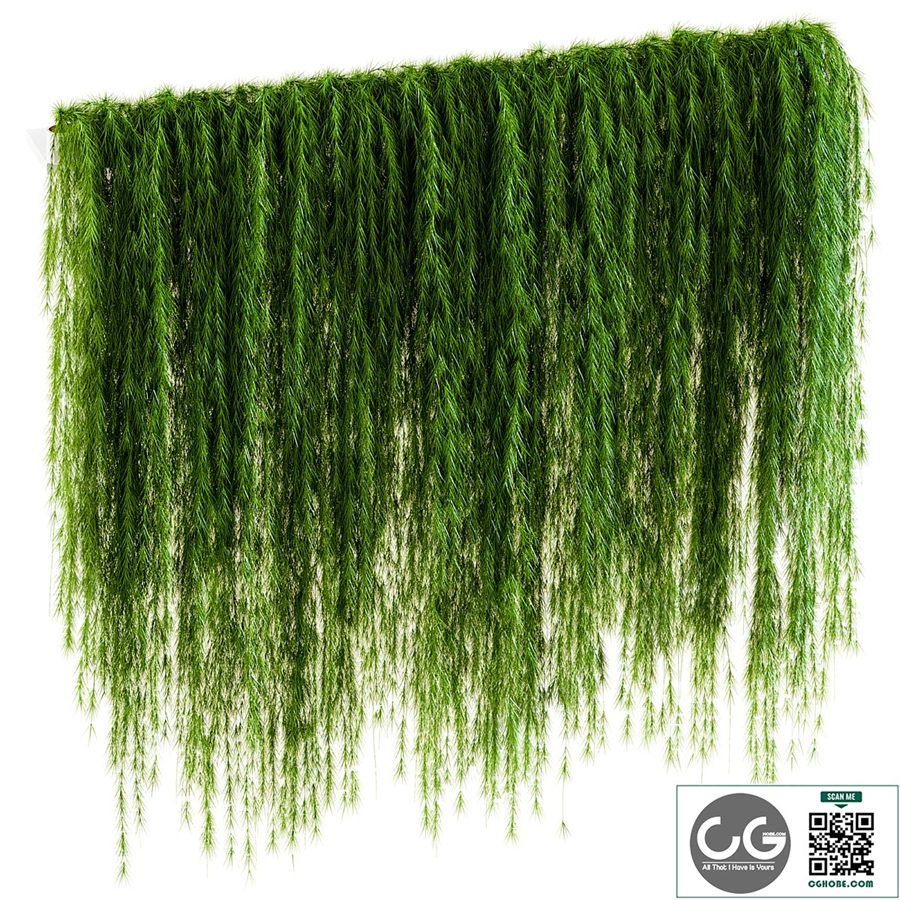 A wall of drooping plant branches