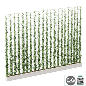 Ivy on the grid