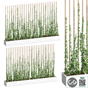 Ivy partition