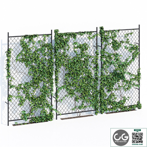 Ivy wall two