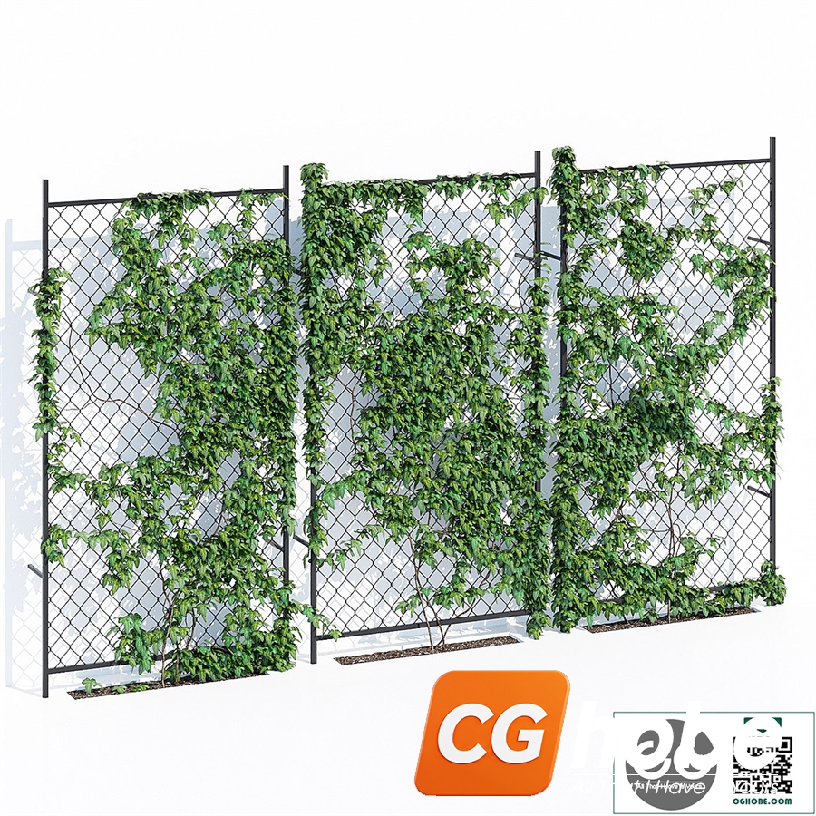Ivy wall two