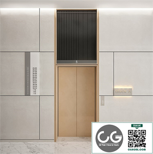 Wall panel elevator