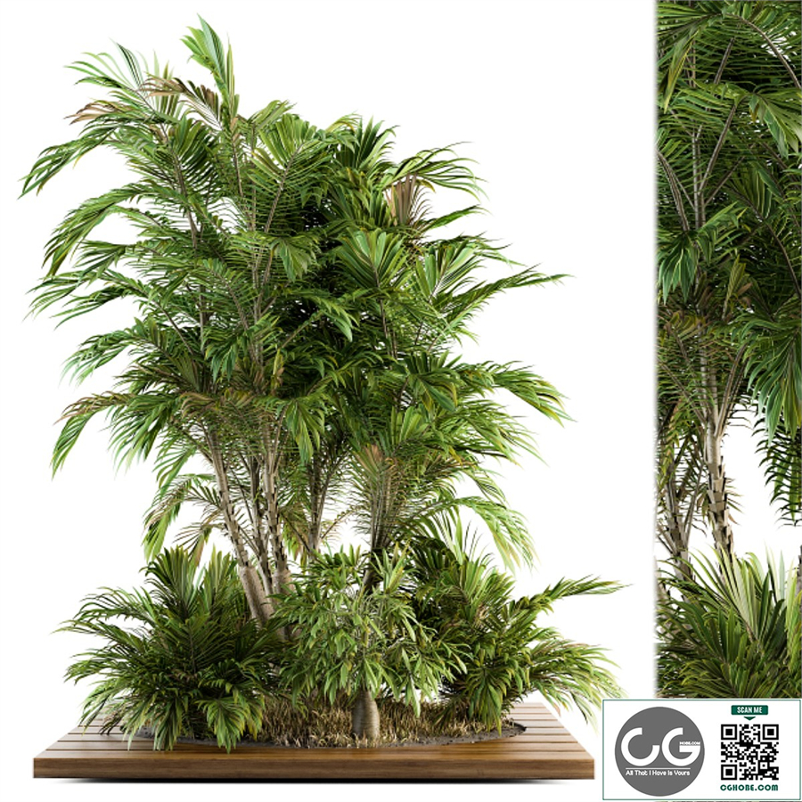 Garden set Tropical bush and Tree - Garden Set 05