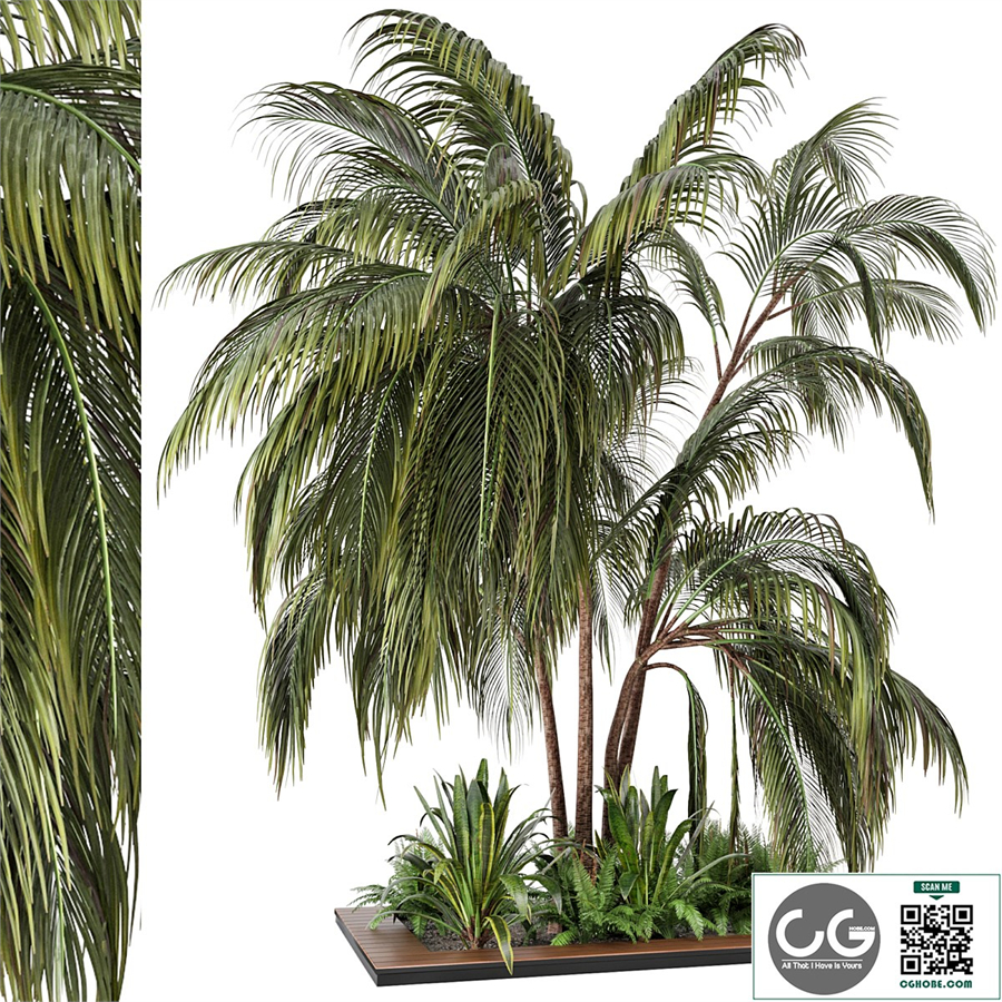 outdoor Garden set bush and Tree - Garden Set 24