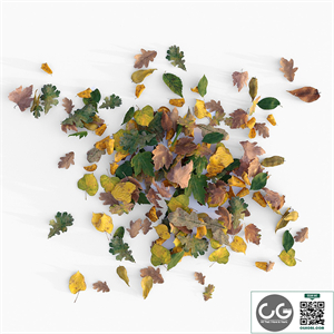 Autumn leaves