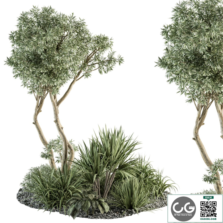Needle tree and Bush - Outdoor Garden Set 305