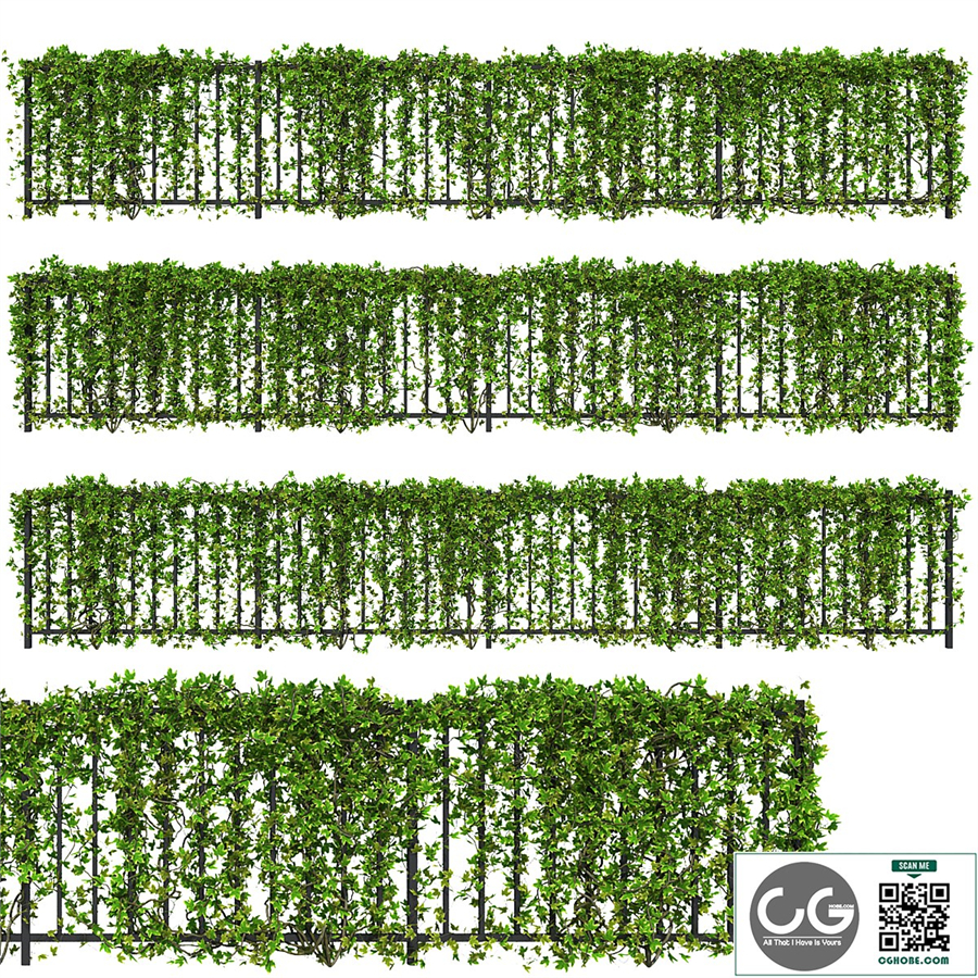 Fence with Ivy v16