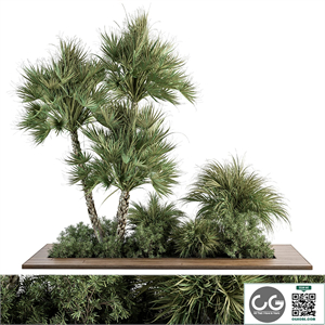 Garden Set Tropical Plants - Outdoor Plants Set 369