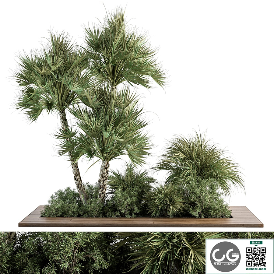 Garden Set Tropical Plants - Outdoor Plants Set 369