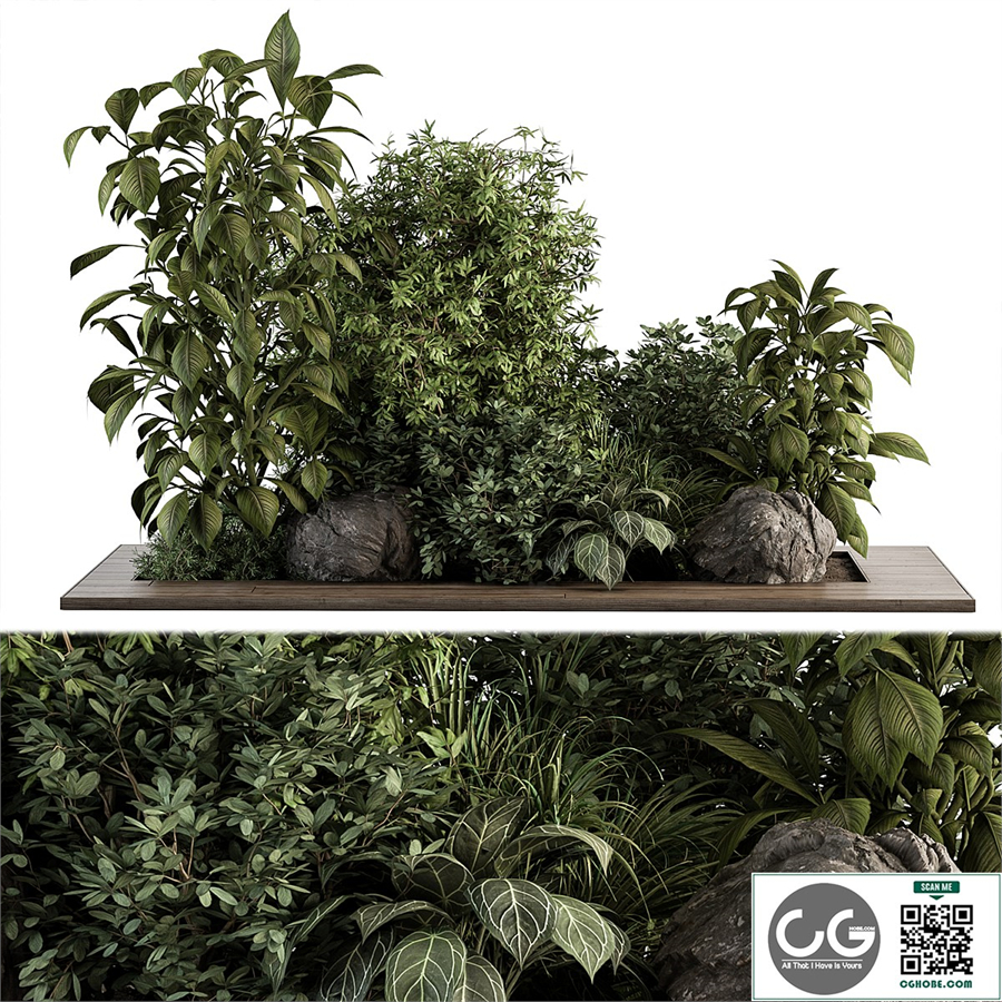 Garden Set Tropical Plants - Outdoor Plants Set 381