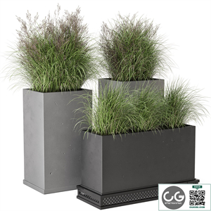 Outdoor Plants Bush in rusty Concrete Pot - Set 665