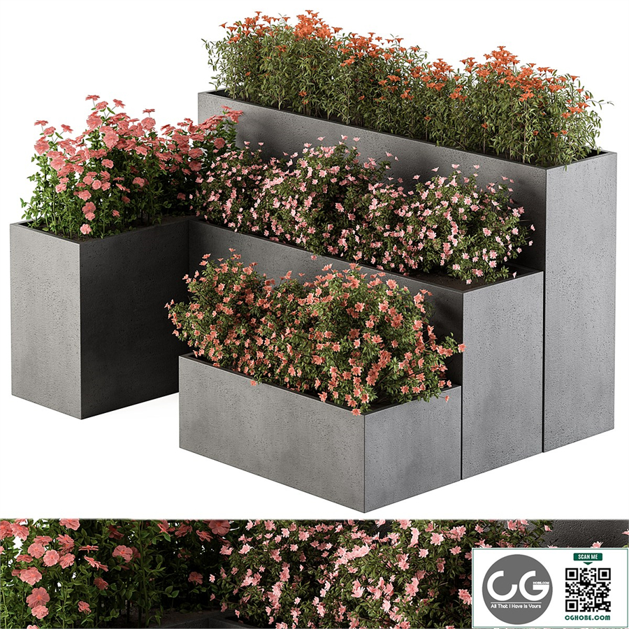 Flower Box - Outdoor Plants 436