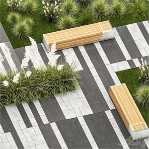 Plants for the urban environment with paving slabs, bench, bench, pampas grass bushes, Cortaderia. 1151.