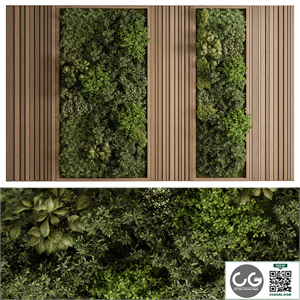 Vertical Garden - Green Wall 74