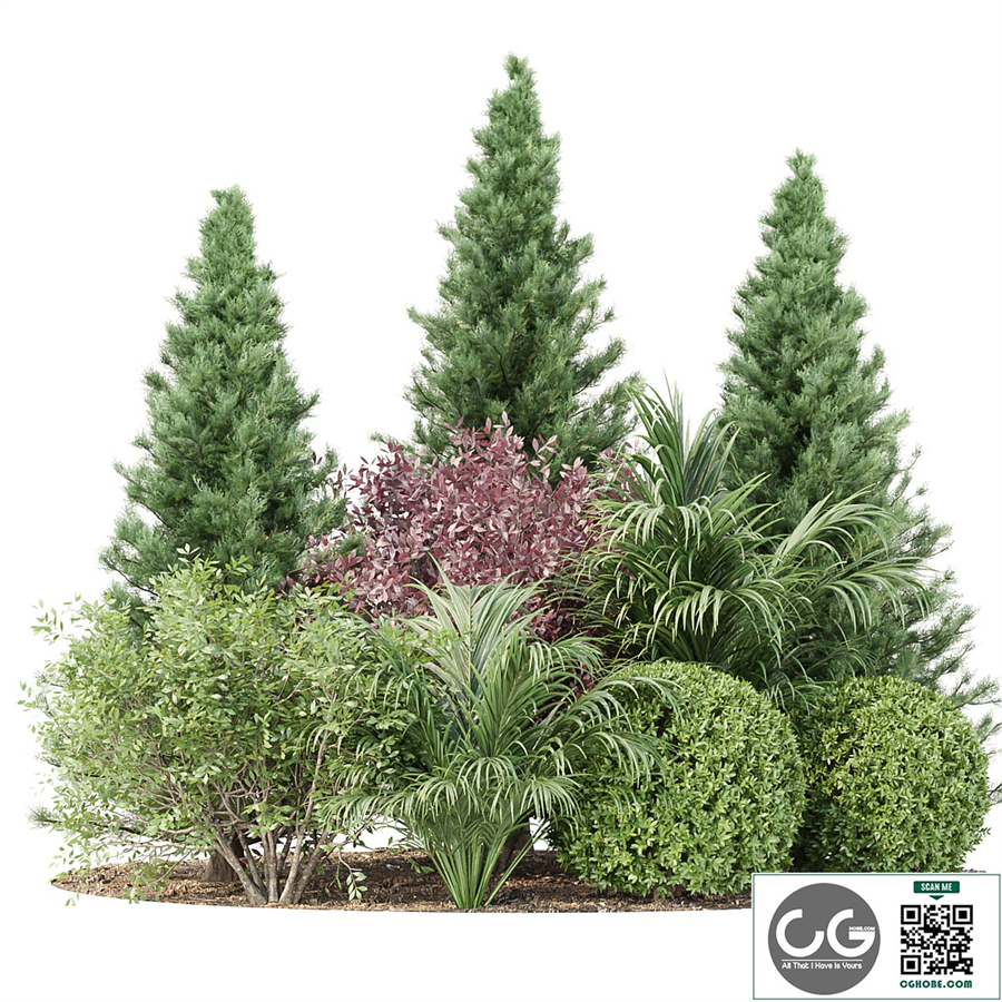 Garden collection vol 196