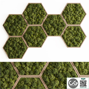 Hexagon Green Wall Panel - Set 79