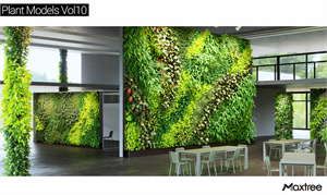 Maxtree - Plant Models Vol.10