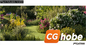 Maxtree - Plant Models Vol.33