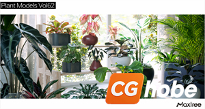 Maxtree - Plant Models Vol.62